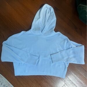 OFFLINE By Aerie Chenille Cropped Hoodie